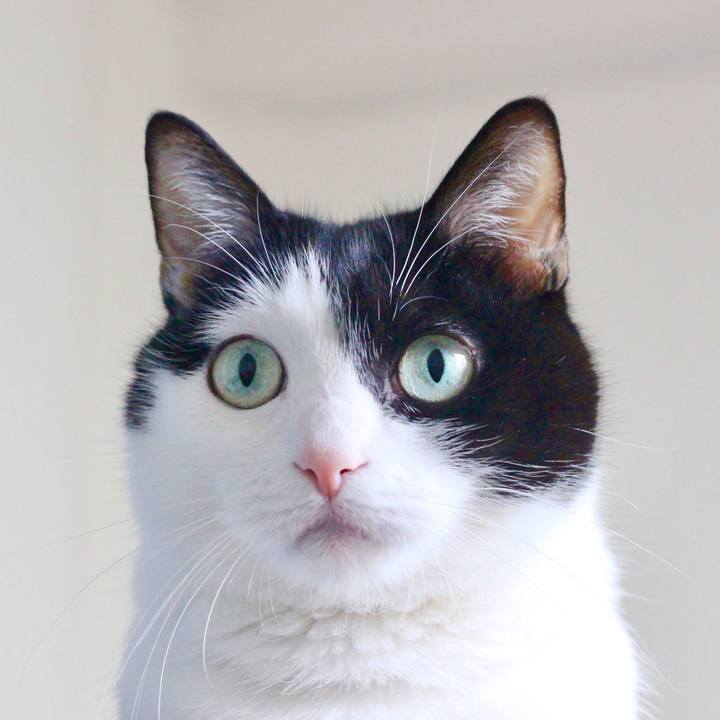 51a43c1e 4bbf 4df5 8e2f 793f666b9a4f 1620600951782