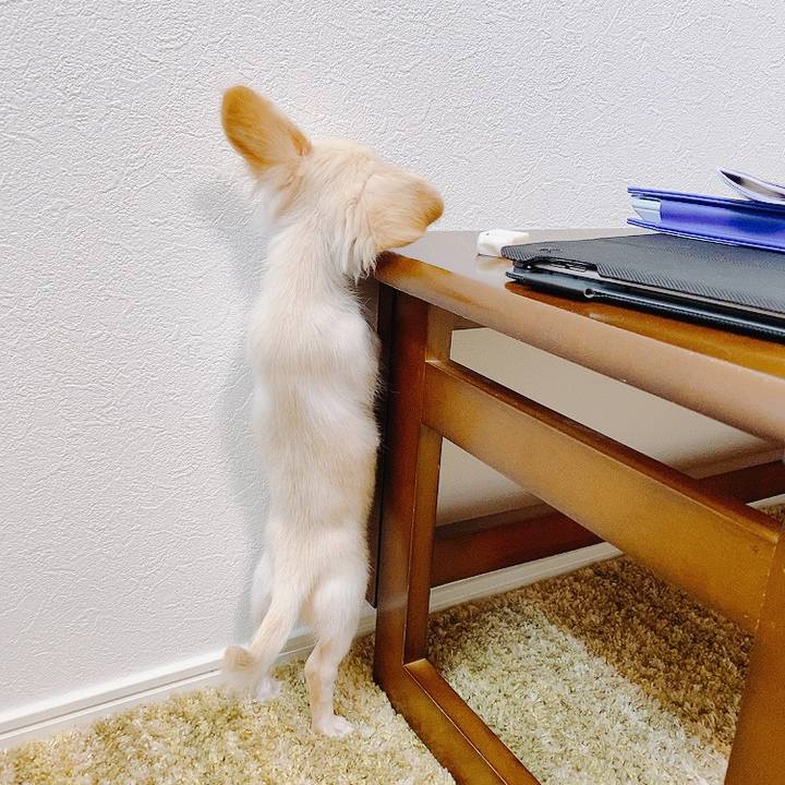 51a489e5 b78e 4d24 906a f2b01eca304d 1591154686844