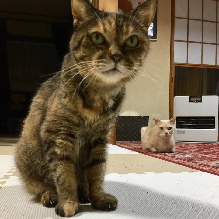 51a48a44 cdd9 424c ba97 6396547b69fb 1641728760193