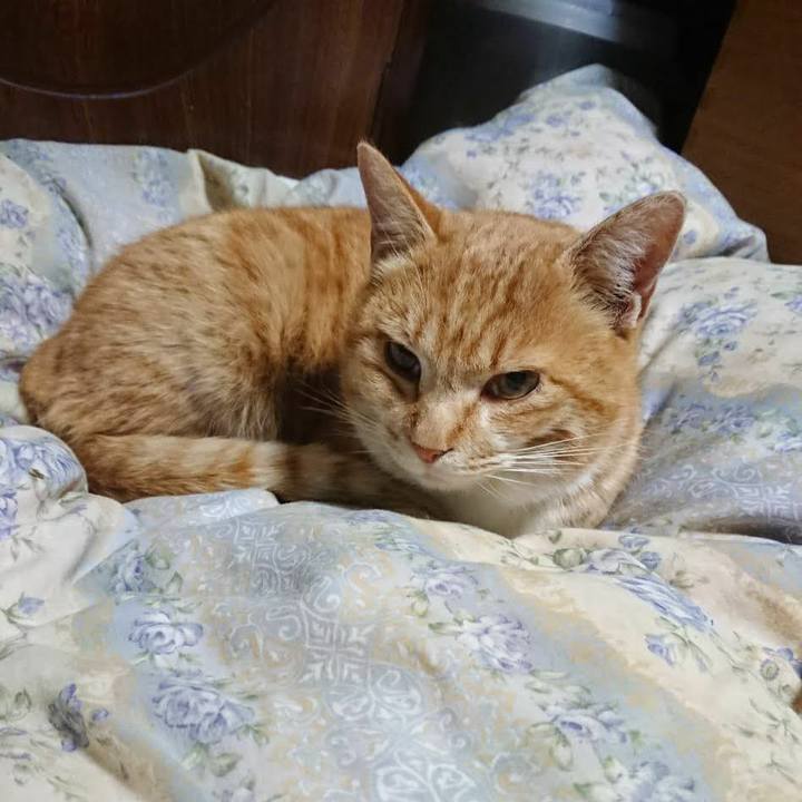 51a4abc4 37ec 4286 932e 77cfdab3b5c3 1582806092870