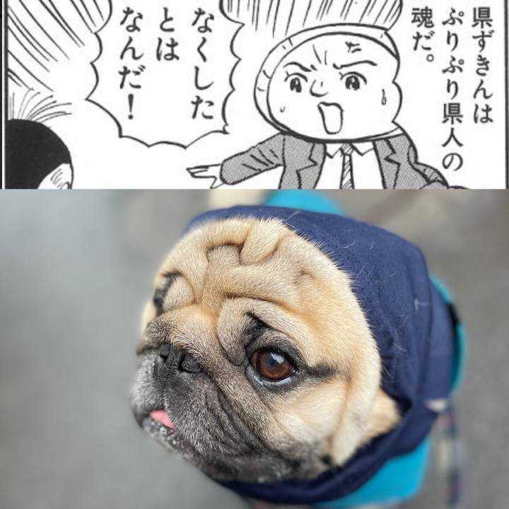 51a4ba8a 86f5 4244 aa18 21c4ba099709 1652430939366