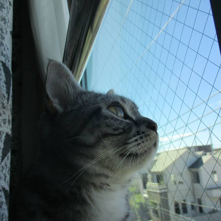 51a4e5f5 a156 4677 9290 22eb21890ac5 1571023359651