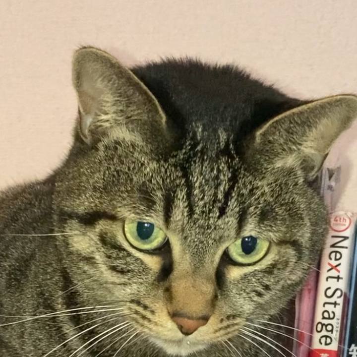 51a52409 6147 4d40 b912 f5f3f9e874d8 1608816417898