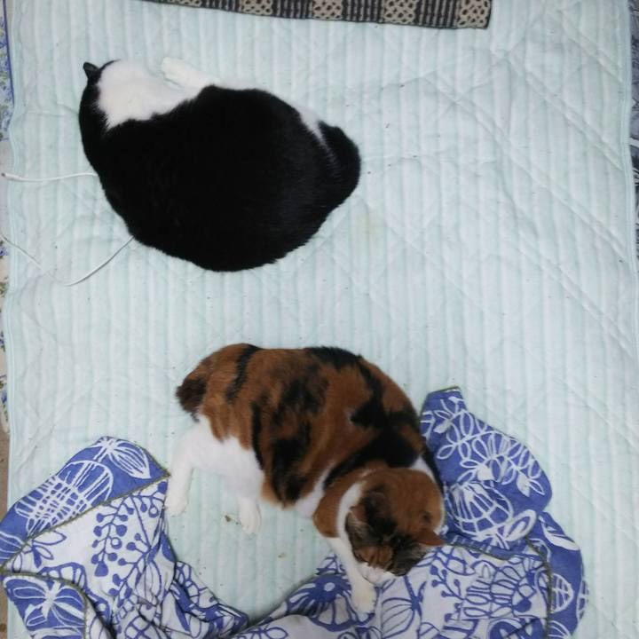 51a527d2 168b 45d1 bb96 7e5b604f1808 1536788445325