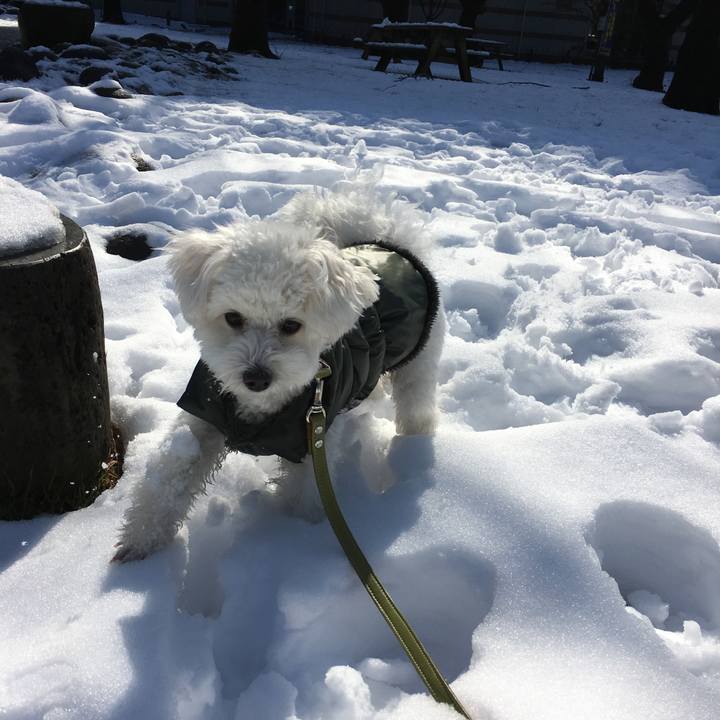 51a53c98 3065 458e 918d f101cd819677 1516677536570