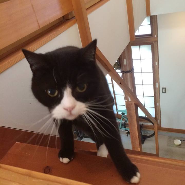 51a53d7f c139 4662 b9de f5226c6ae7a6 1581027060268