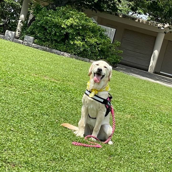 51a53edf 3694 414c 8fa0 1f87c88412cf 1622416792902