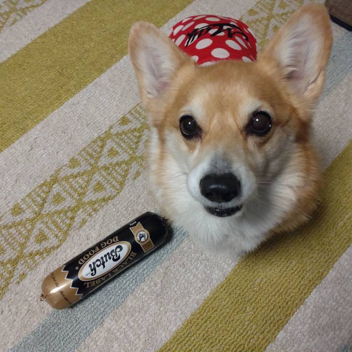 51a57f98 81a2 472b 9539 2eb3e7a8da39 1671895039600