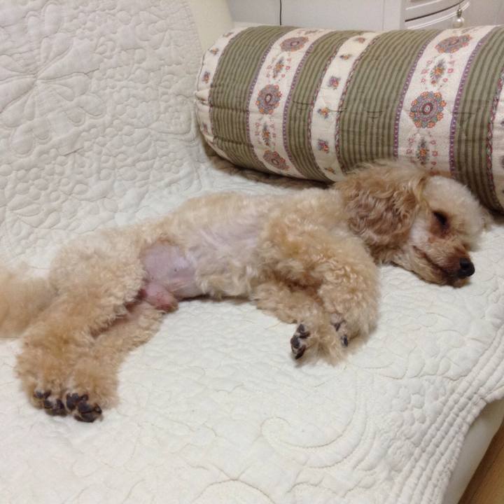 51a5c0a6 083c 4cb3 ab80 d591144540eb 1535168467348