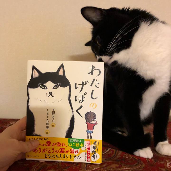 51a5d264 1587 40bb 9fb0 84fafbbe3729 1514325219586