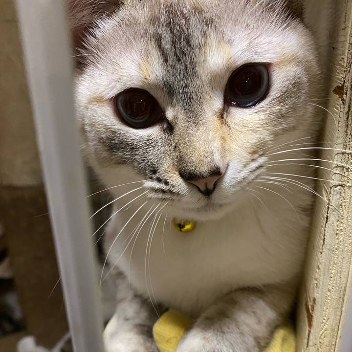 51a5df57 ff90 41e6 b0ee b44239213878 1651830183905