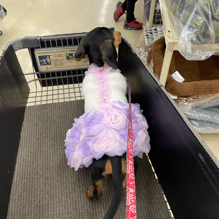 51a634cf 406f 4a29 95eb ddce78b28bd5 1638594169801