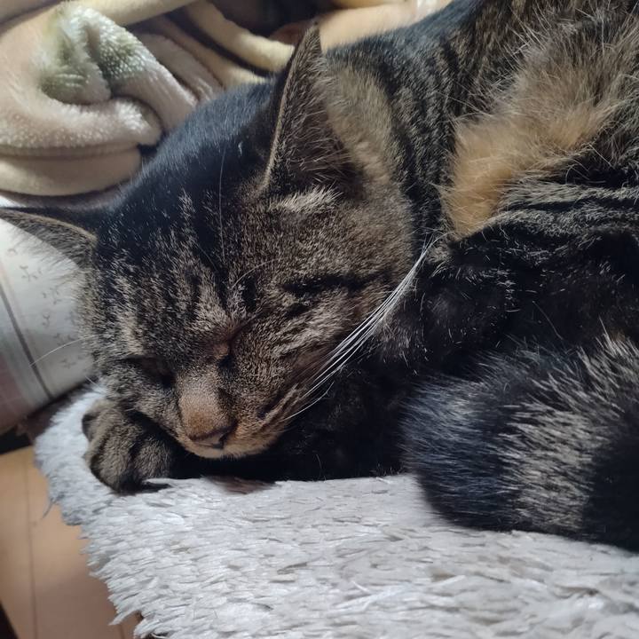 51a64600 8d7d 42ea a9fd ebeda74e498a 1670908837226