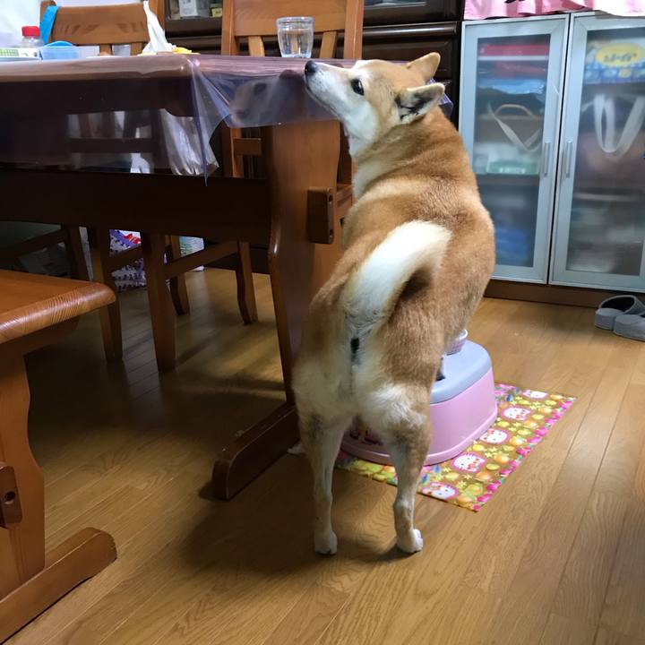 51a67f7f b0db 4d5a a6af bc318009f984 1542023239574