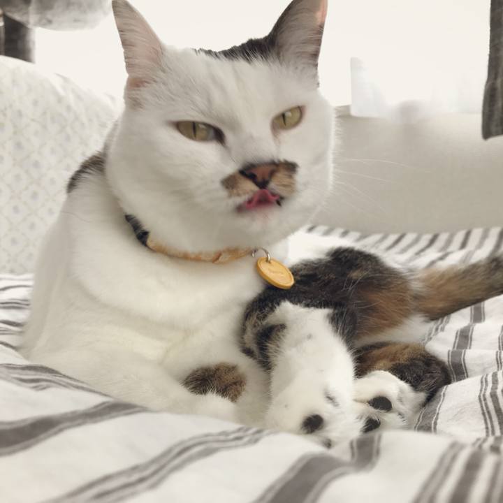 51a6be0c e163 40b2 8c23 ccc3b391d389 1537755561035