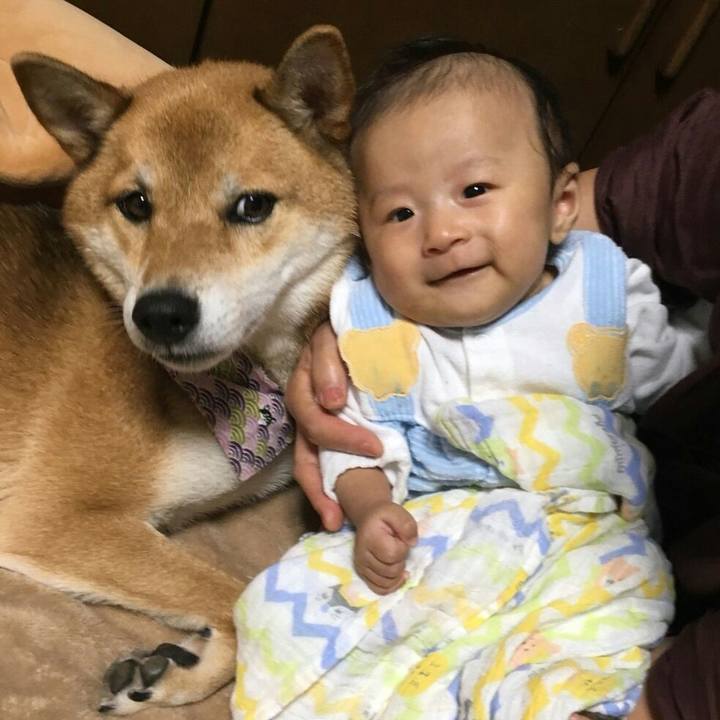 51a6ce7e f121 43d1 9822 f51689ebae75 1537538279161