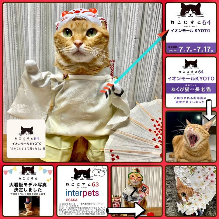 51a70898 a269 4d6c 8f28 3b7911c33b78 1688120595147