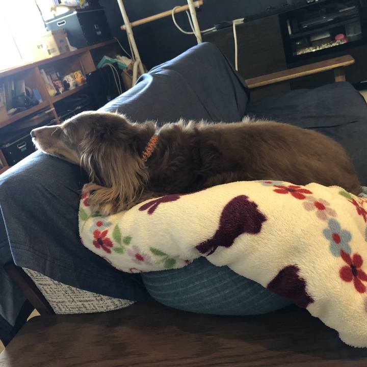 51a709cc a272 46d4 a3c6 2a52a3fccc4e 1691130864648