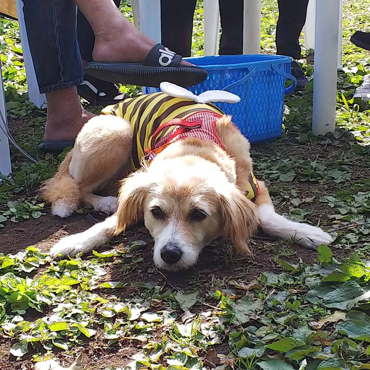 51a783c4 5c68 489e 8d64 743877663236 1541216612503