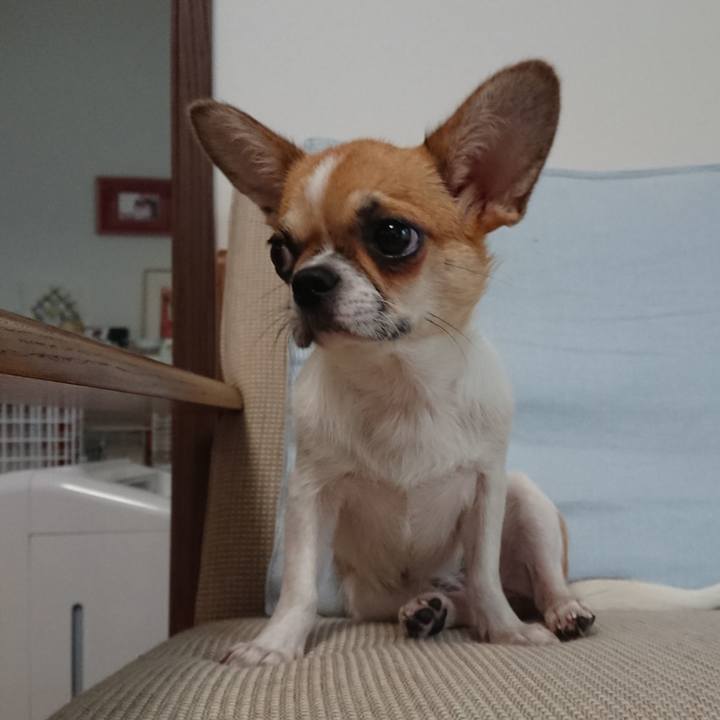 51a7cd05 81e1 43a7 a5d4 1b789031850b 1535106719706