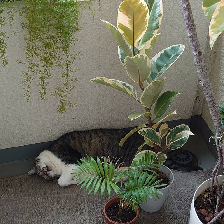 51a86b72 10ce 4fb4 93a5 bb9a05d3907a 1695772507177