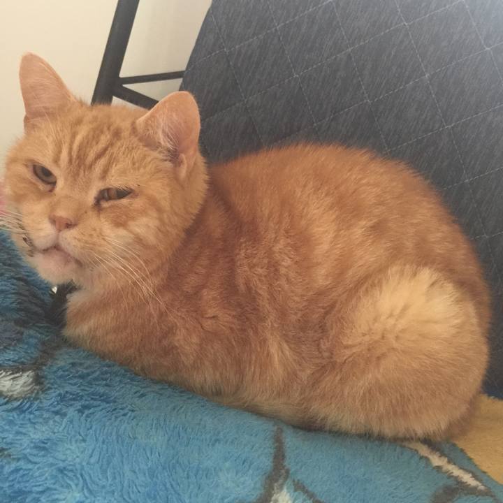 51a8815a 1a78 4b97 97f1 1a5b3e27886f 1556590974887