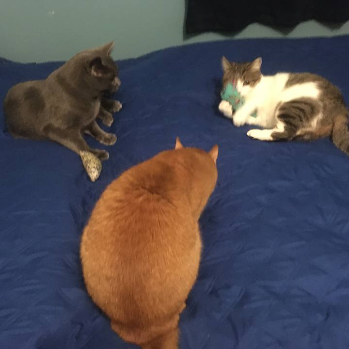 51a8c0a7 c8a7 4bea a591 4228e8ee78b6 1633134399094