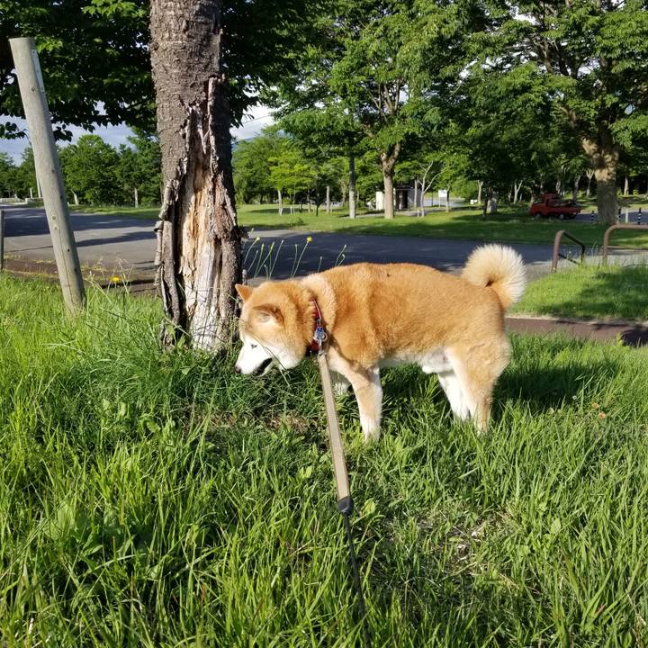 51a8c15a 6adf 448e be6a 682532c8af9b 1718006451595