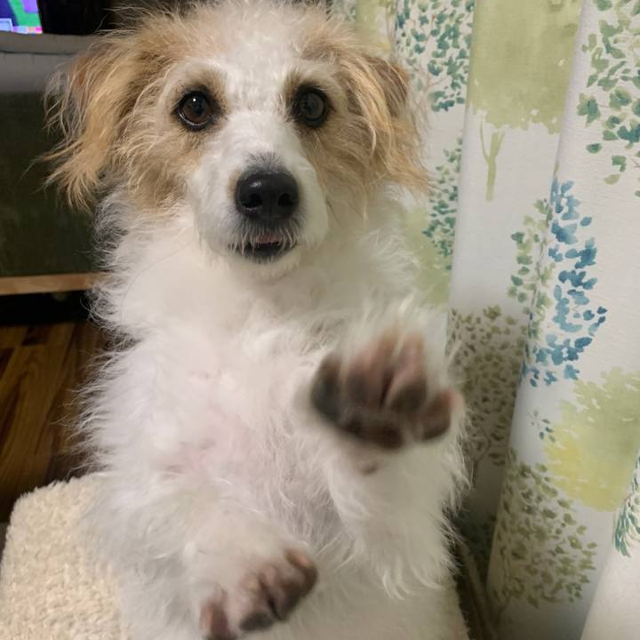 51a910bb 8907 4951 8ab5 c91b813ea717 1764763789407