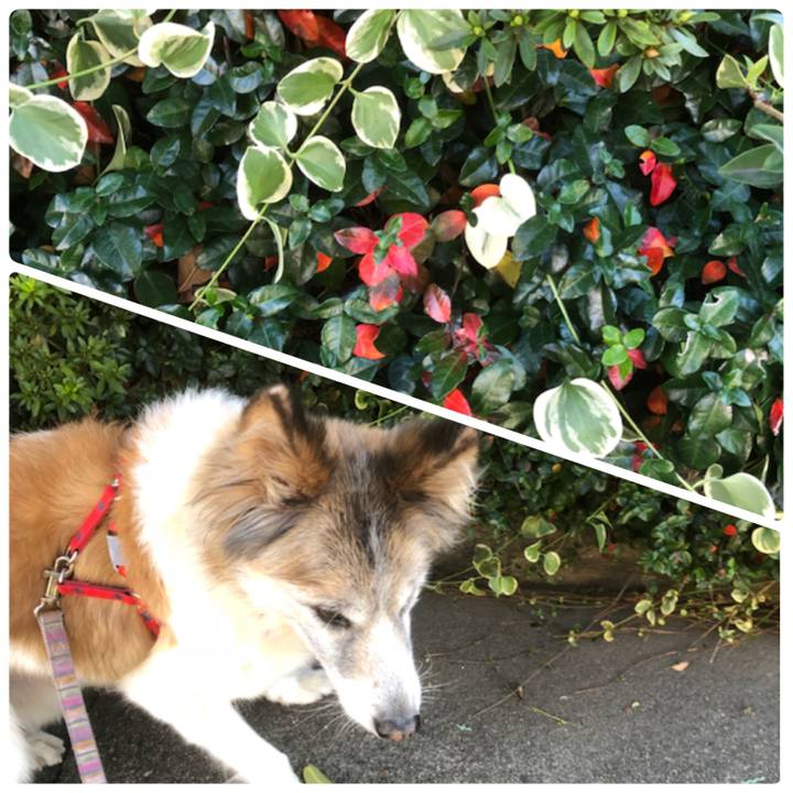 51a93b75 b8f0 4cd8 9393 03a90cf815c7 1540768593480