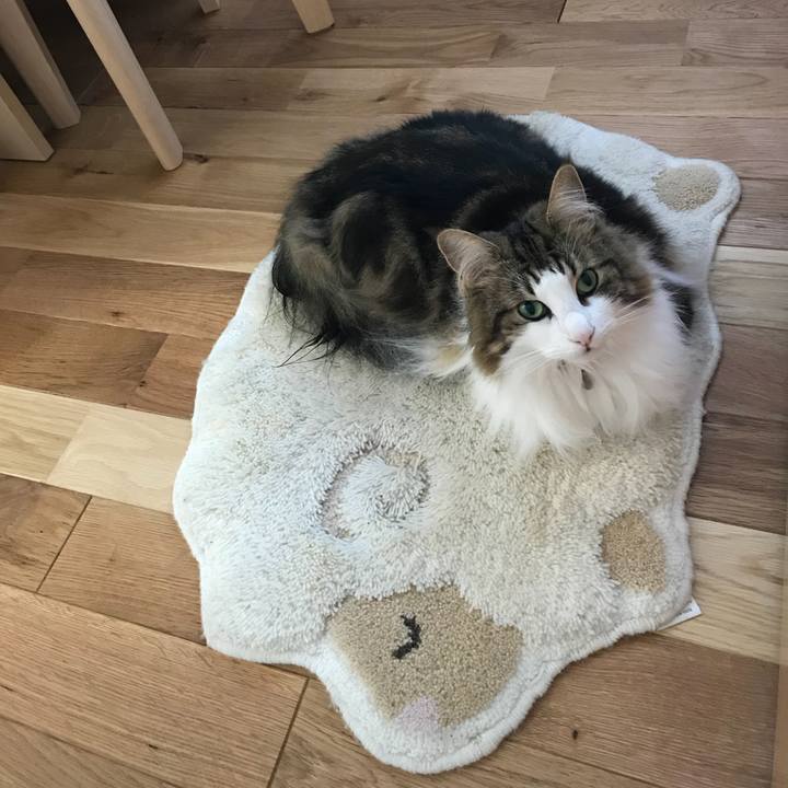 51a9895d 7654 440c 8ac2 f12e5b13359b 1530172515329