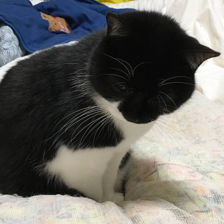 51a98e3c 7f1e 4678 9608 6751627f543a 1547736297954