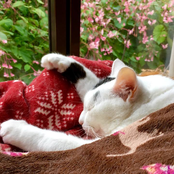 51a991b6 fd2d 44ef 84cd 74c6e60933c7 1568775875175