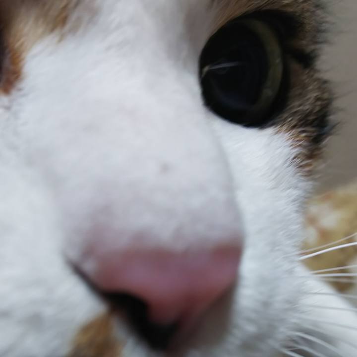 51a9a5ff 2129 41d8 b0ea daec91074a5a 1581157731851