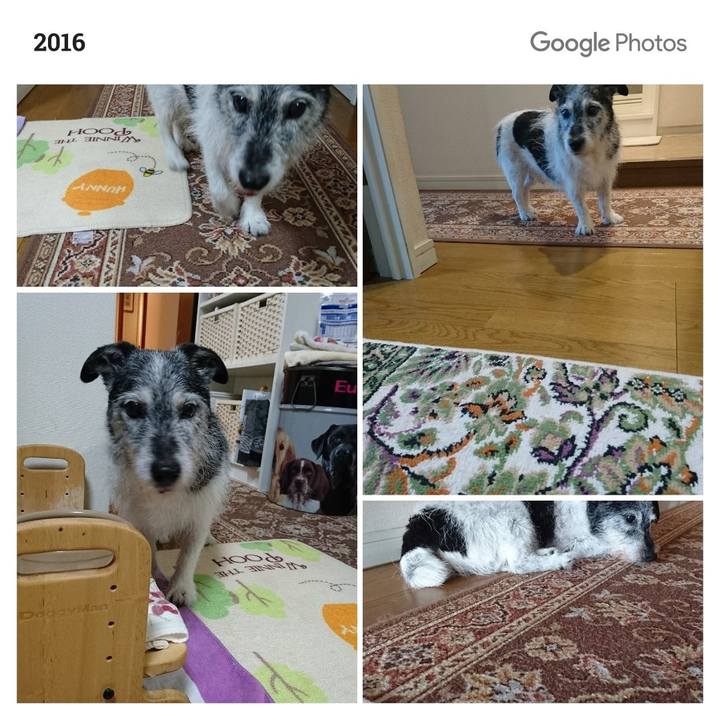 51a9a6d1 c0fb 474b a412 a72a91c76e1e 1569243548889