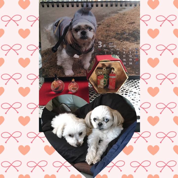 51a9b880 1f7b 4f6f a441 44a176b9535c 1614581210569