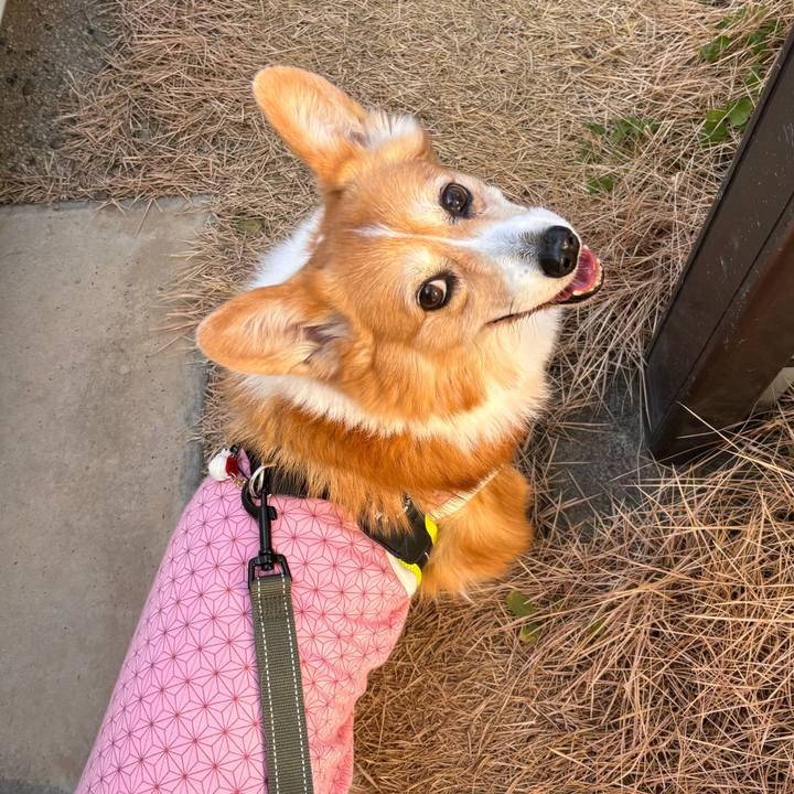 51a9ceb1 c5e7 4a82 a38c d9e8b18ab5c9 1767585737374