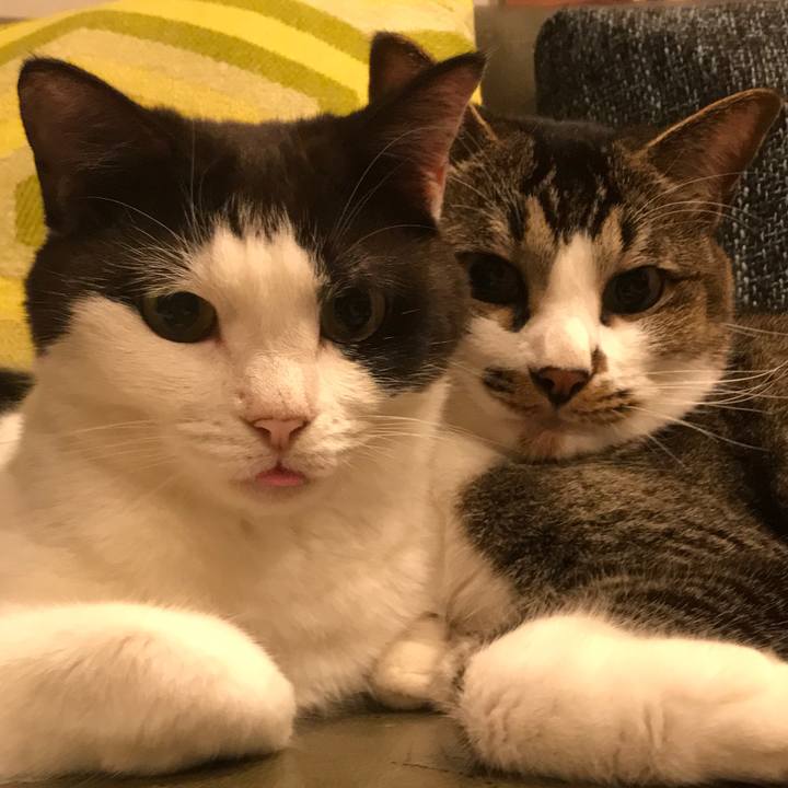 51a9d2b9 e3cd 4e9b 9fc9 2b953b87a4ab 1626262512840