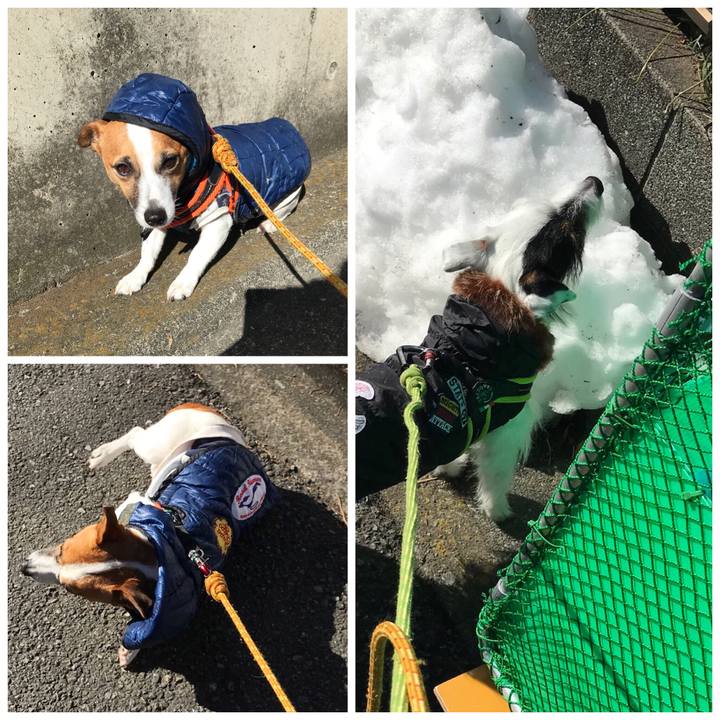 51a9dc1b 6ee8 4ebe a4a5 9bafbd01324c 1516847487700