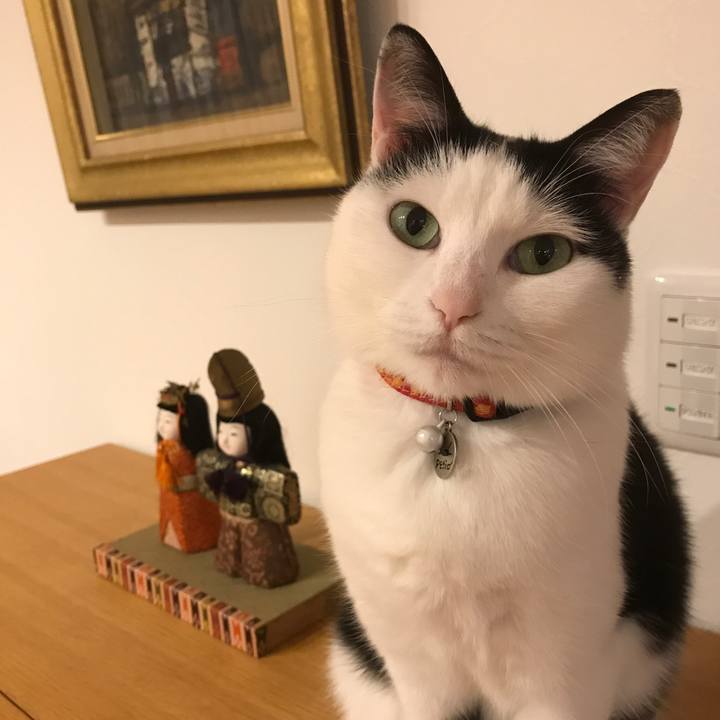 51aa0030 b88a 4c48 a57e c8653b8e1172 1550659868923