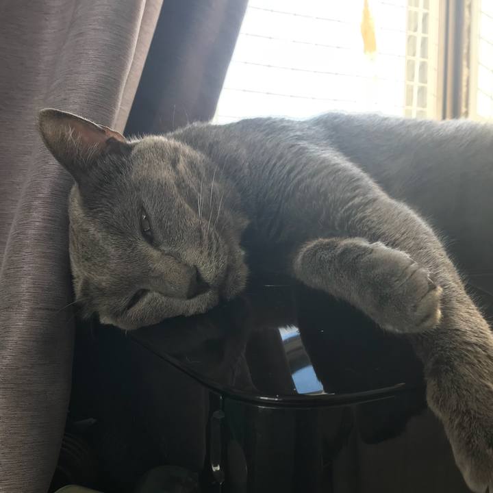 51aa172c b7fb 4cfe 89e0 30802e766280 1510637596041