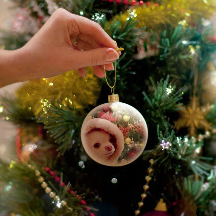 51aa404a ff7c 4dc2 9c9c b6b38666f37c 1703408574092