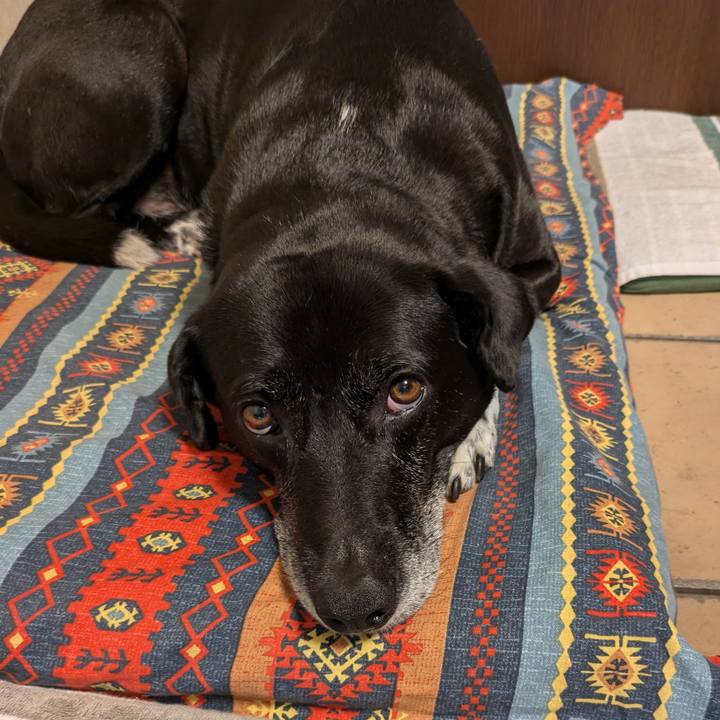 51aa41d7 1715 4e8d b78a 70f08a17e97e 1719744906670