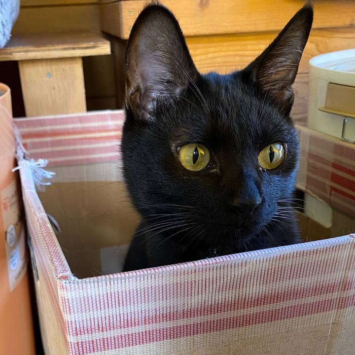 51aa4e04 a8a5 4b59 b69d f55e981816d6 1637282118750