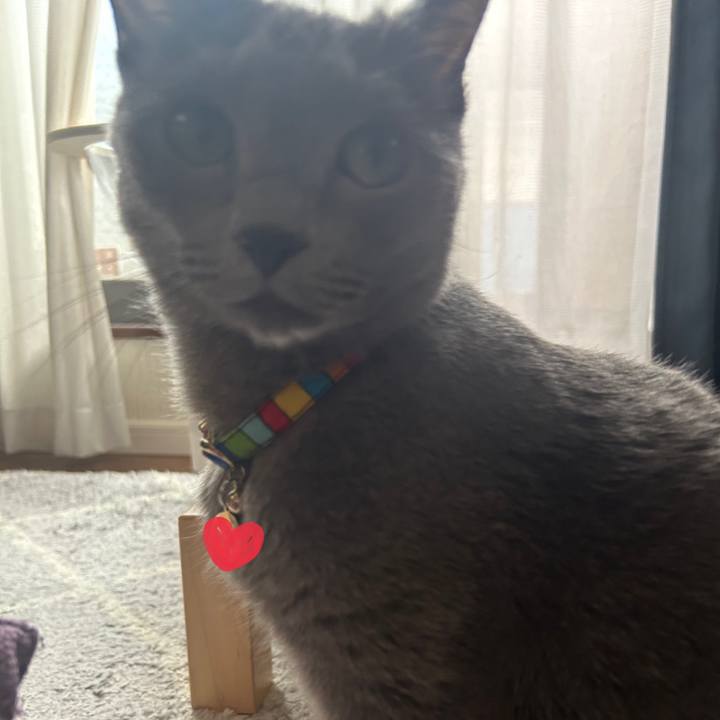 51aa612e 2abd 4755 a96b d22493170931 1727565789761