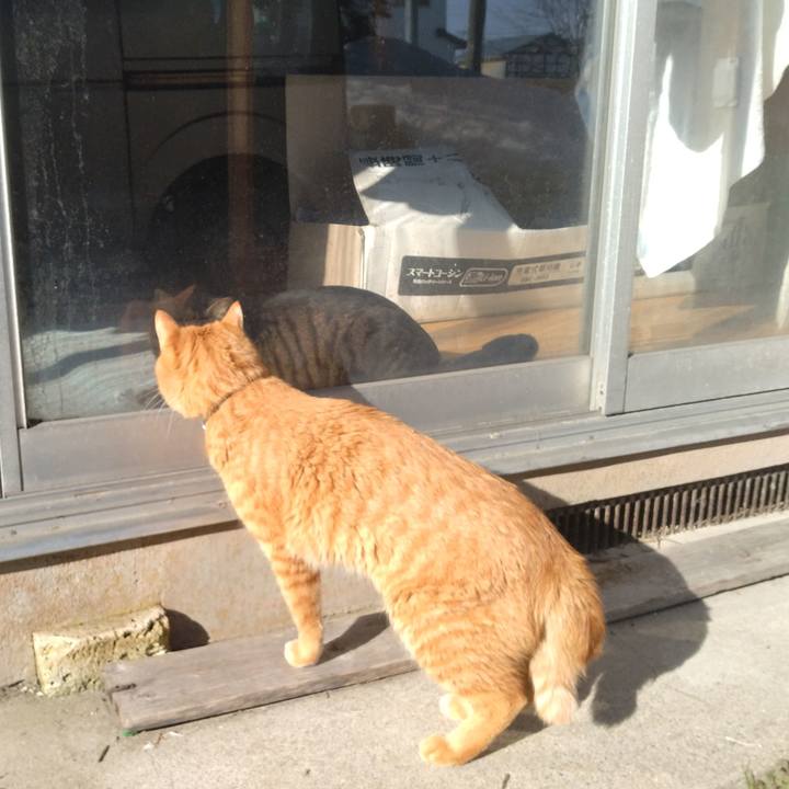 51aa89c5 ace7 468f a664 749d81ed7e80 1677996912661