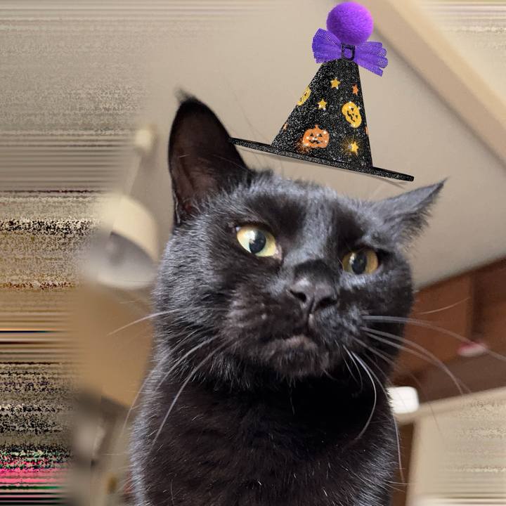 51aa9660 01e9 42b7 852c 3c73c96048d9 1761867008392