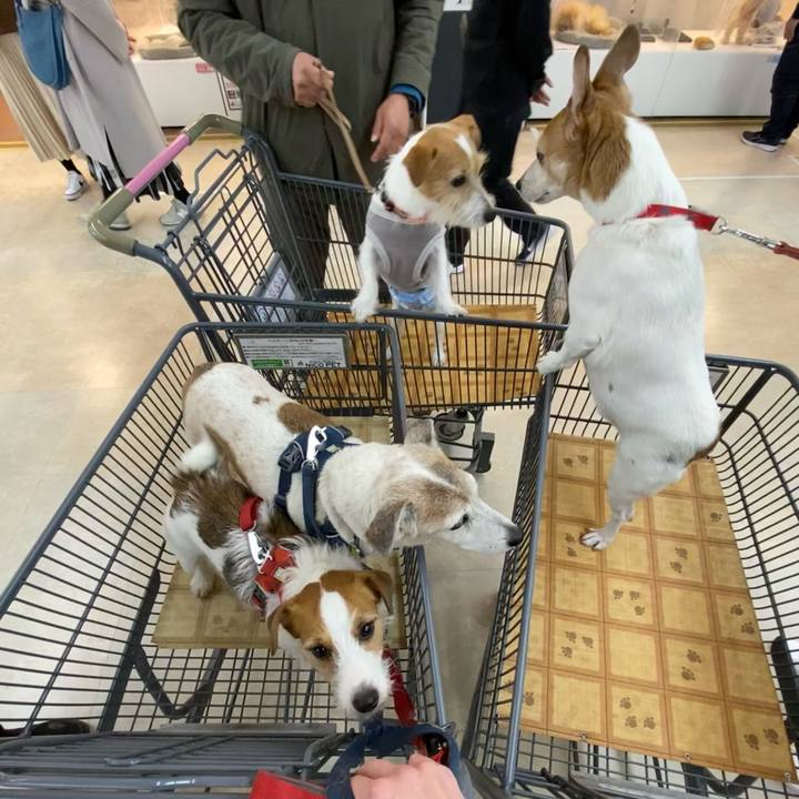 51aa9bdd 00ea 40fa ac43 b7e53a01ade7 1677392970615