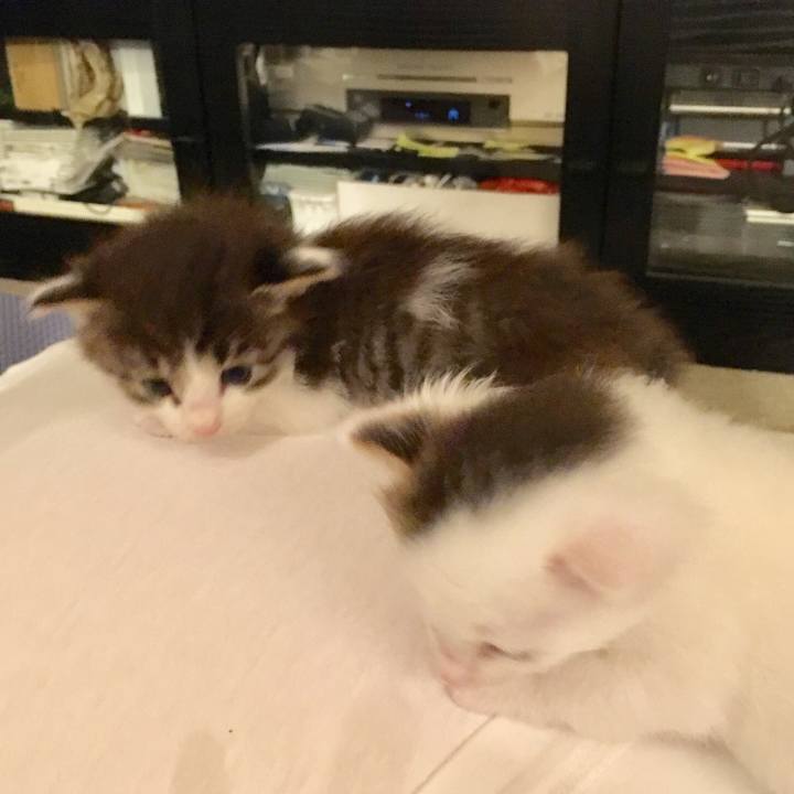 51aa9d3e a206 459b 8146 ed139029f380 1519256326135