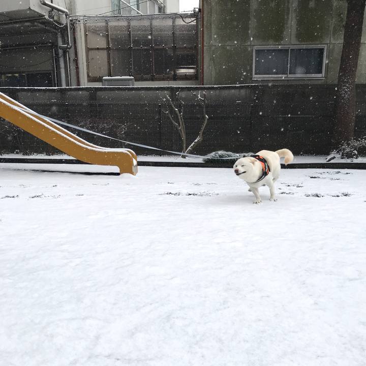 51aaa953 7956 45cd b0a9 d25b0adca671 1549685213925